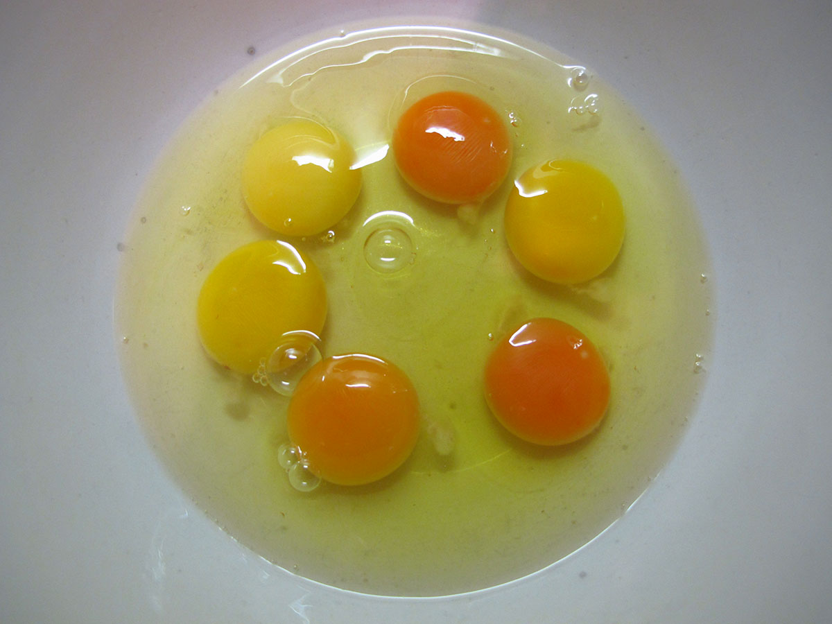 A Cor da gema do ovo faz toda diferença Mistura Geral